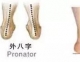矫形器公司之​扁平足有哪些危害？